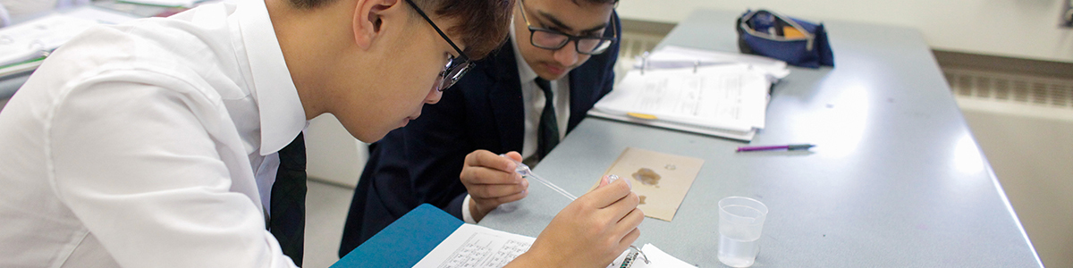 High School students carrying out an experiment in science class
