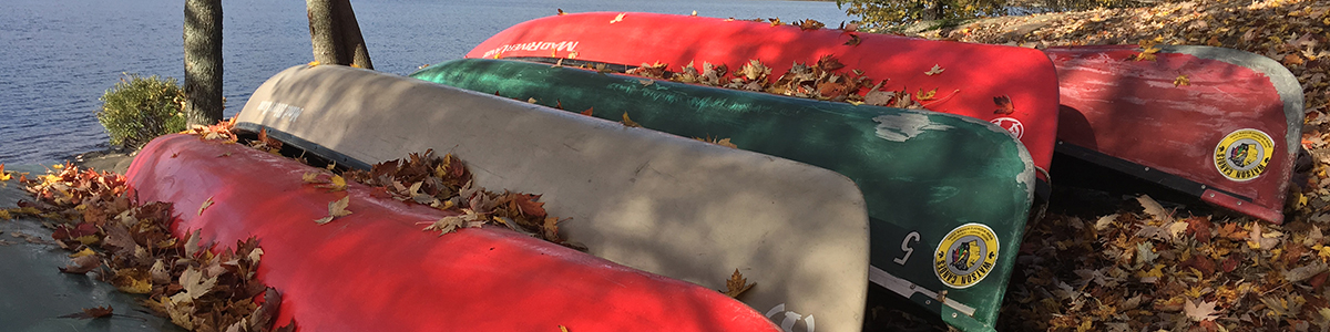 Five canoes at the shoreline in the fall