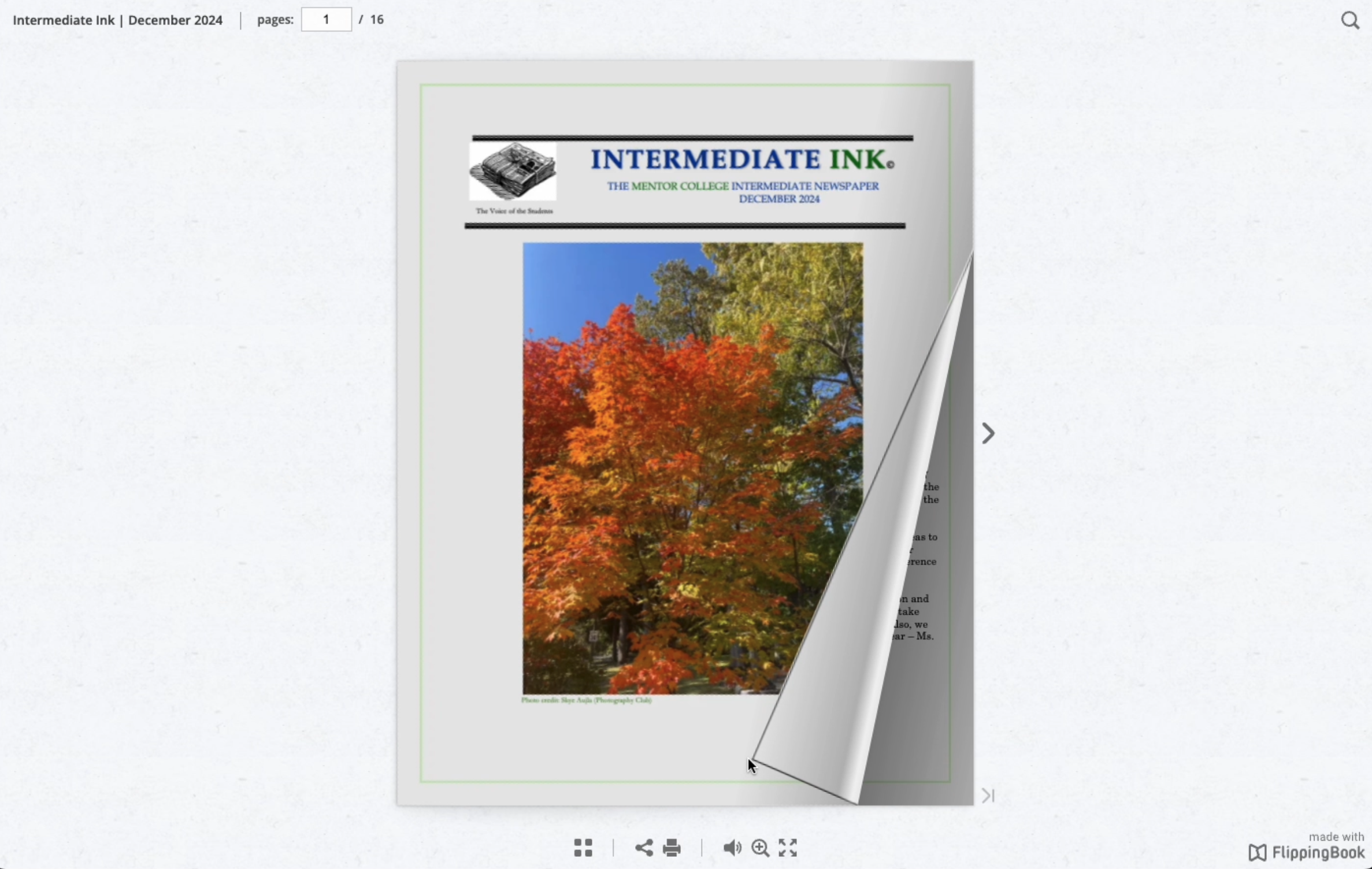 Intermediate Ink: December 2024